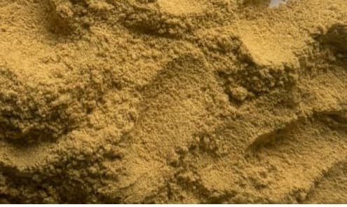 Dehydrated Ginger Powder
